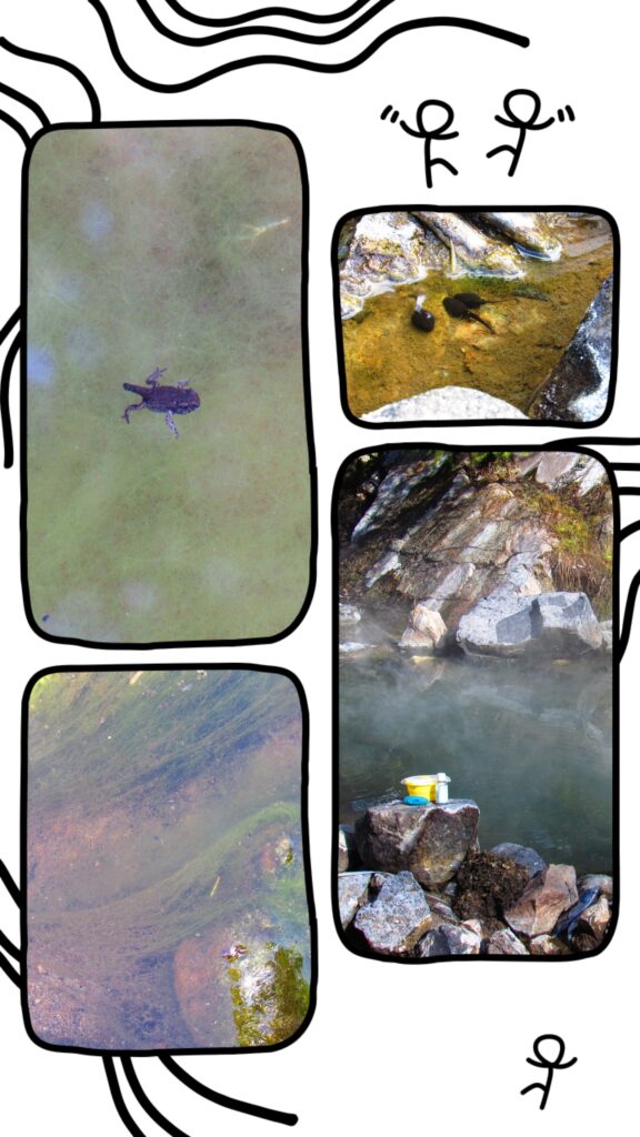 Leona's Outdoor Adventures No. 1